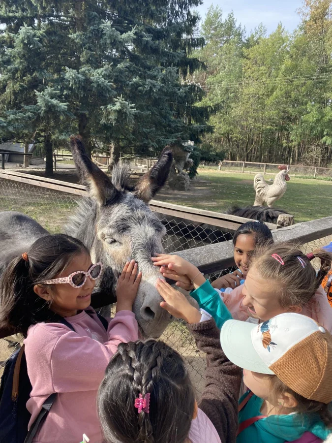 News / Class Trip to BioFarm Stupava - foto