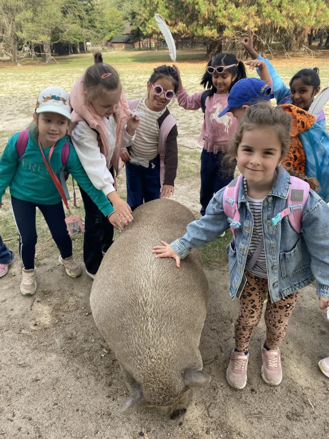 News / Class Trip to BioFarm Stupava - foto